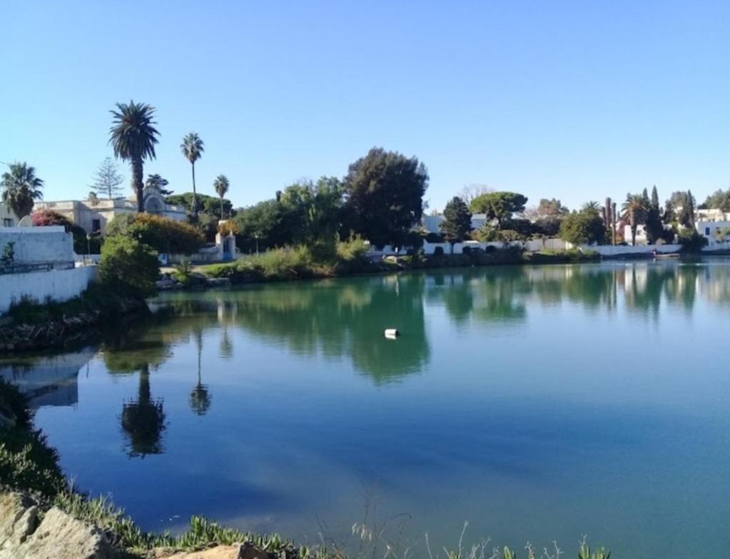 Appartement Num3 Carthage Byrsa Douar ech Chott Exteriör bild